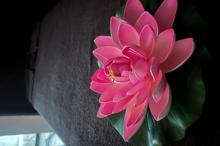 Metamorfosa Massage